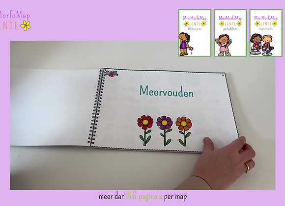 MiniMorfoMap Lente